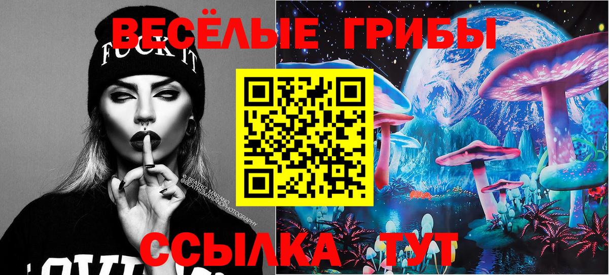 Новоалександровск  Галлюциногенные грибы Psilocybe  Вход с VPN  Псилоцибиновые грибы мухоморы 